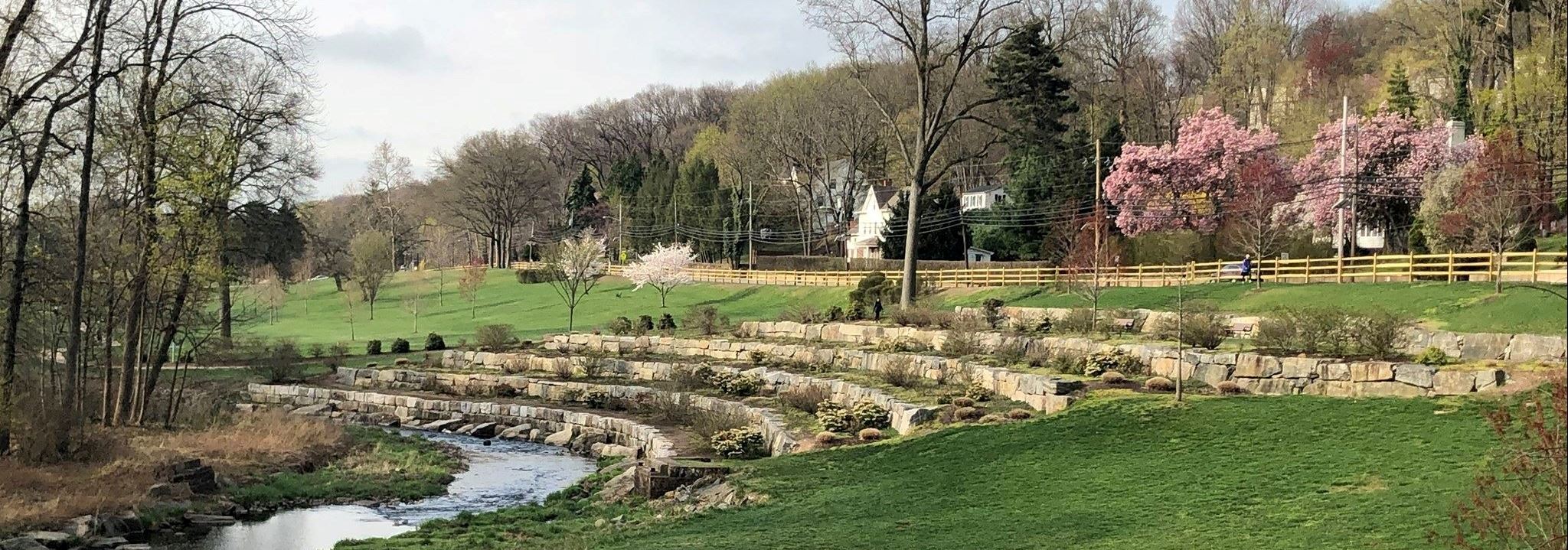 spring in goffle brook 2025