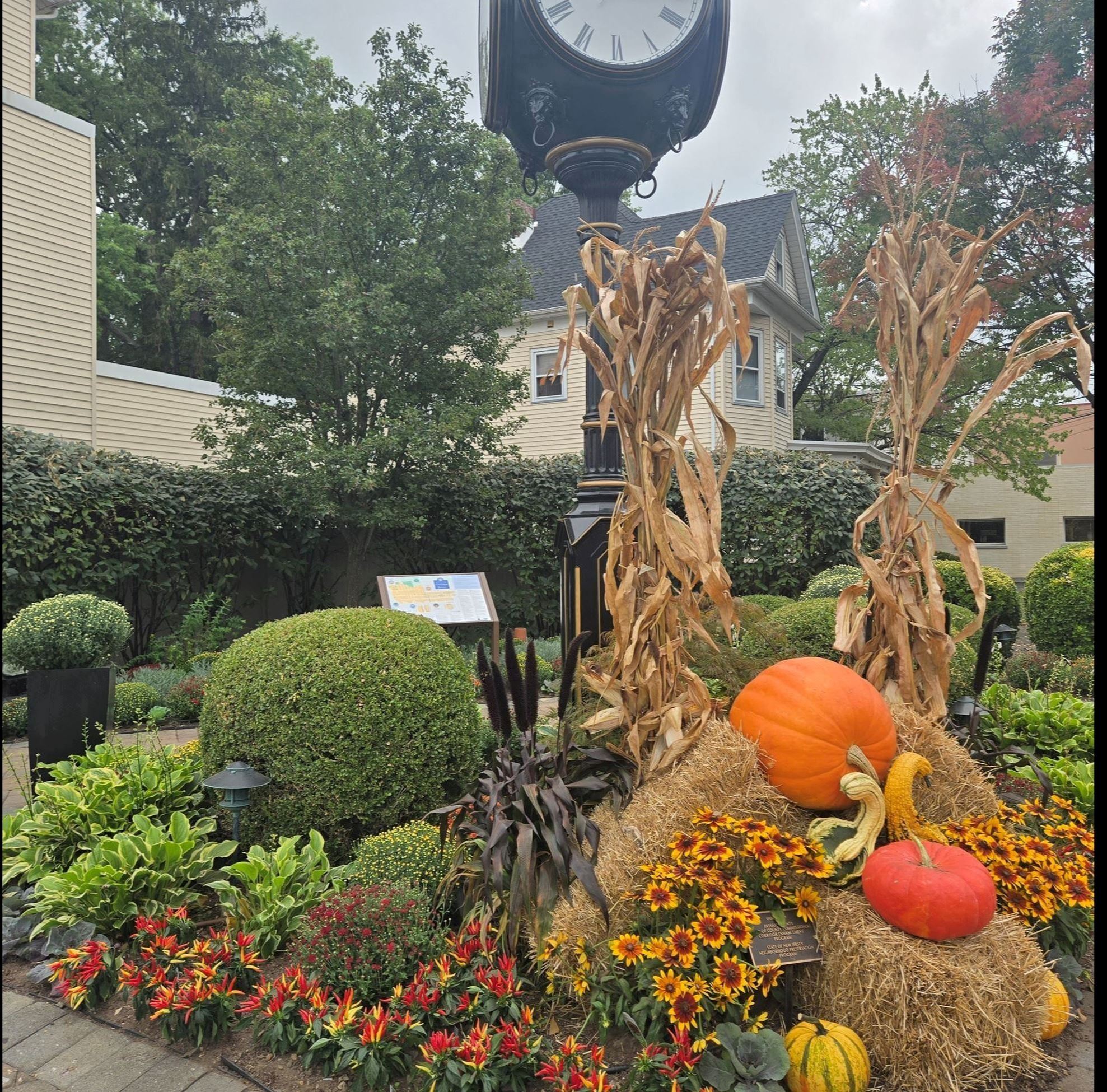 Pocket Park Fall 2025